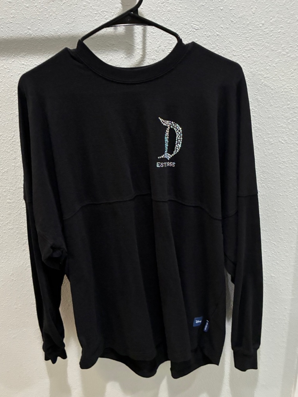 Disney Spirit Jersey